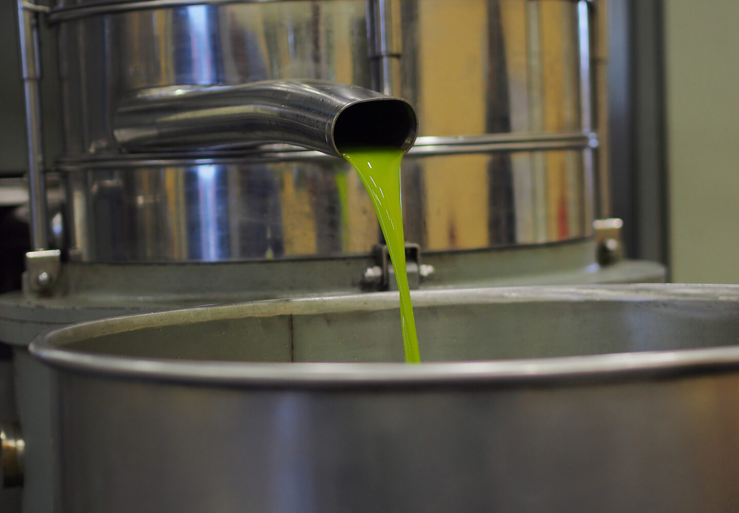 Molitura delle olive Astrum Evo - Olive milling